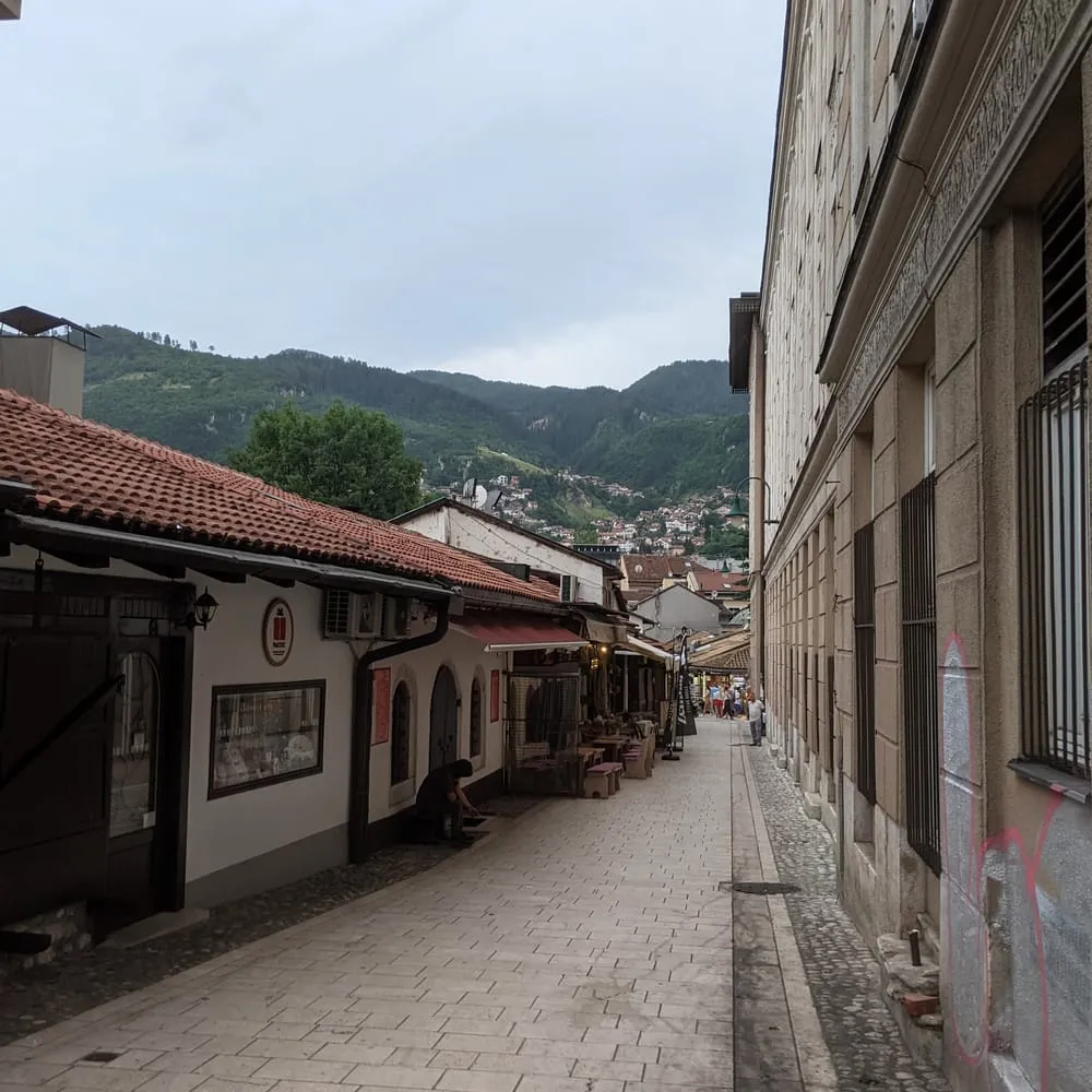 Bosnia and Herzegovina 5
