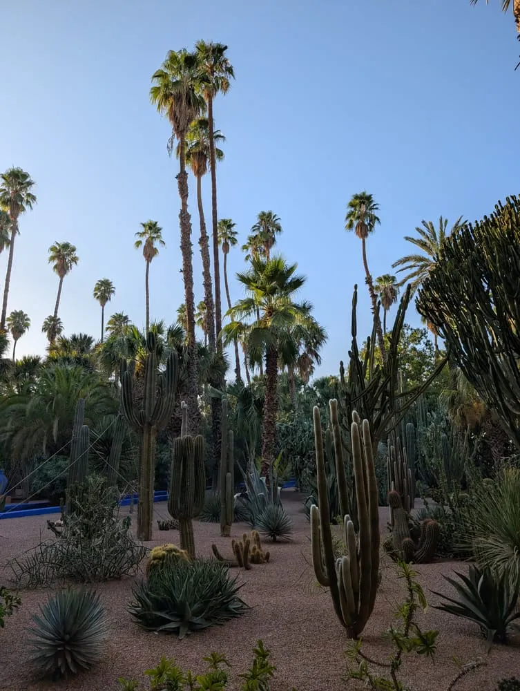 Marrakech, Марокко 2