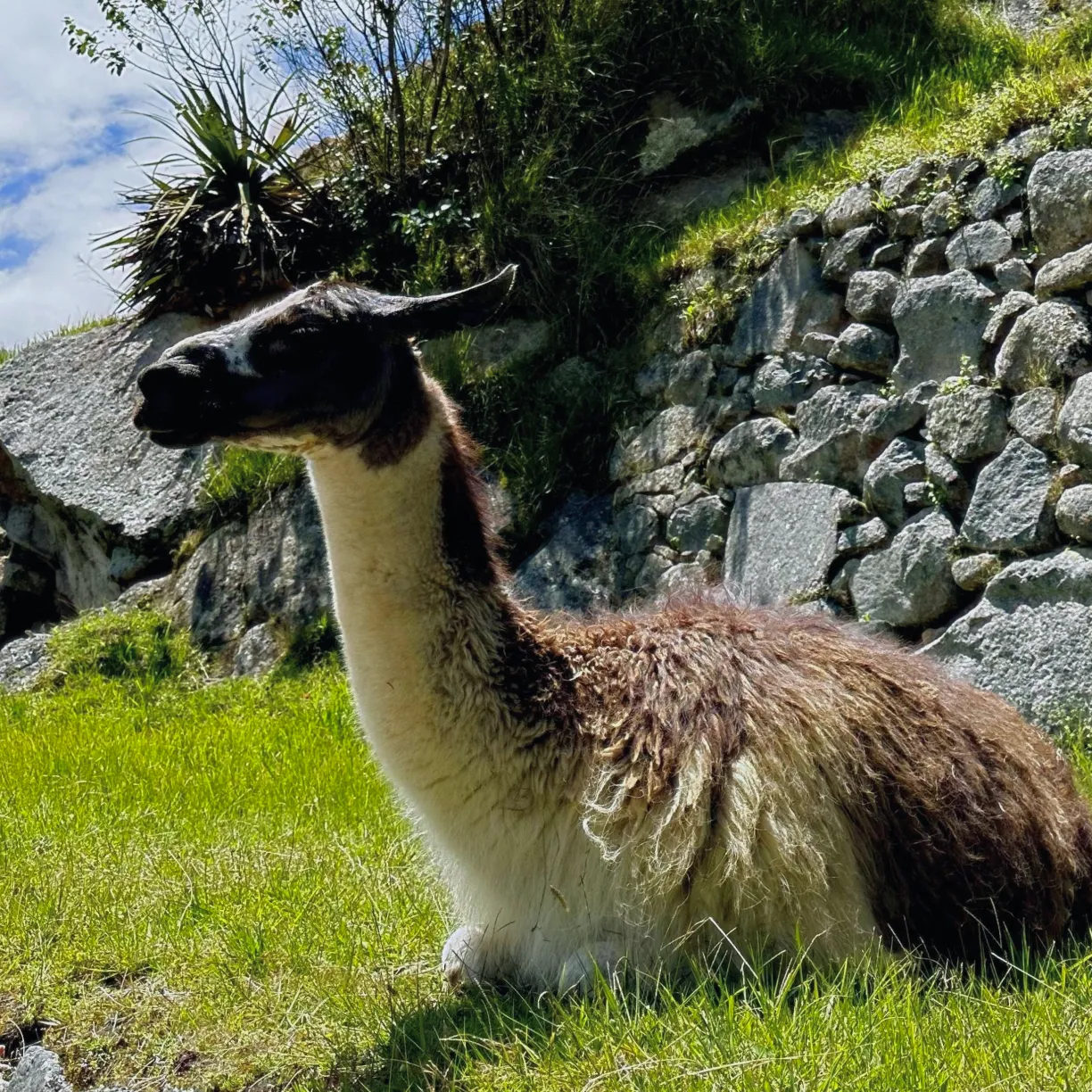 https://d2rzpmb54mcyw0.cloudfront.net/content/guides/cusco/cusco7.webp