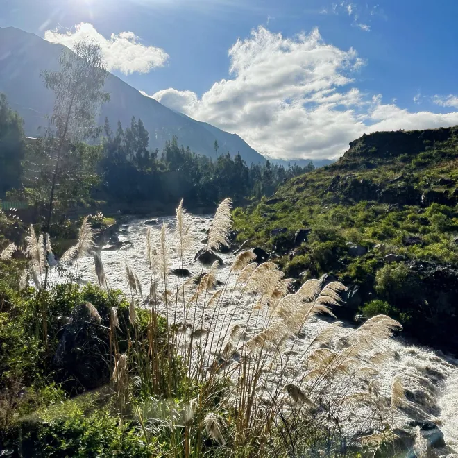 https://d2rzpmb54mcyw0.cloudfront.net/content/guides/cusco/cusco9.webp