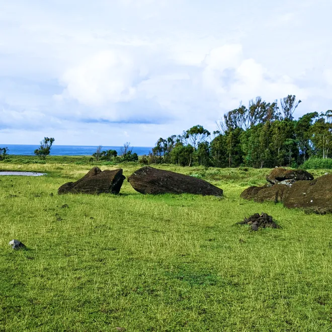 https://d2rzpmb54mcyw0.cloudfront.net/content/guides/eastern-island/easter-island9.webp