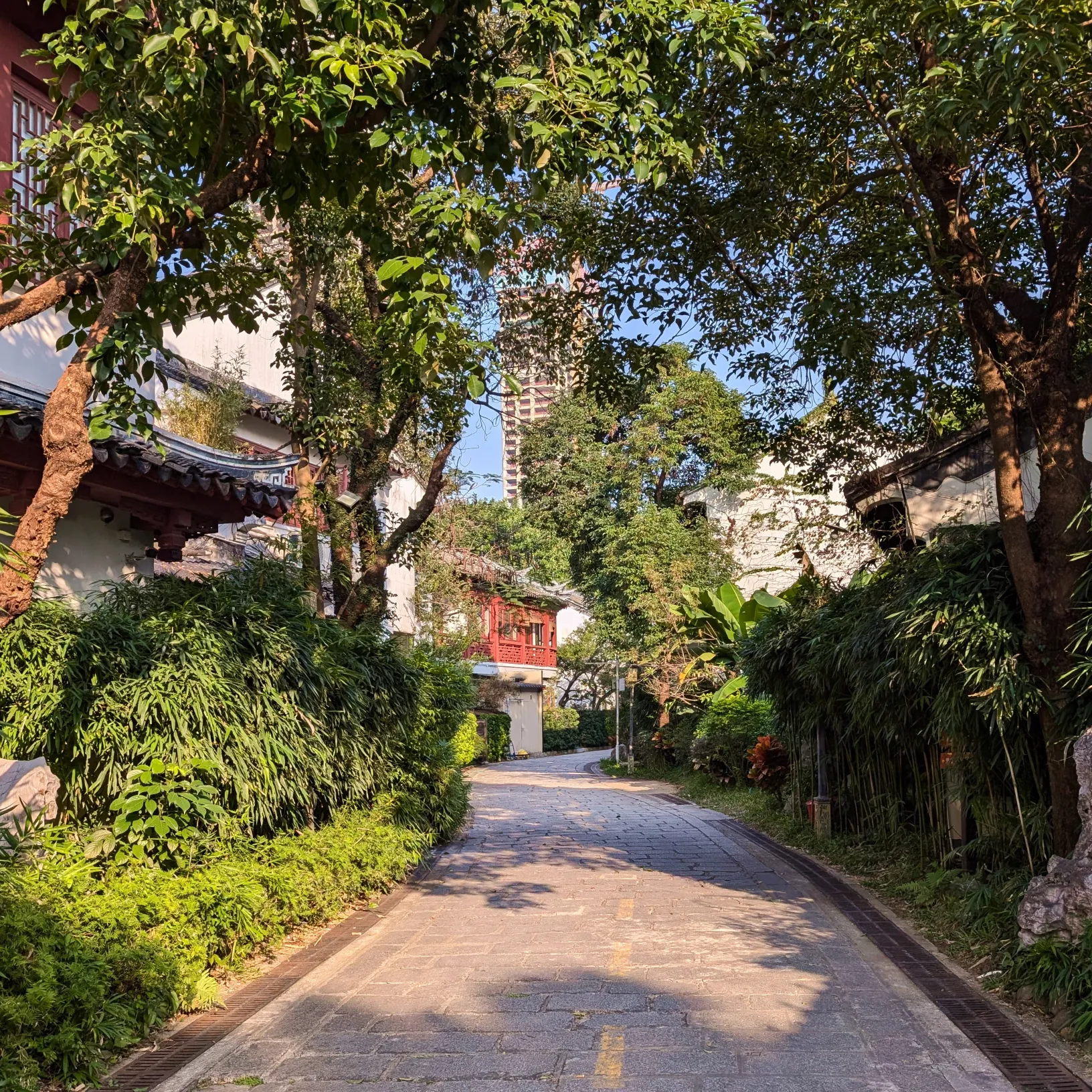 https://d2rzpmb54mcyw0.cloudfront.net/content/guides/shenzhen/shenzhen3.webp