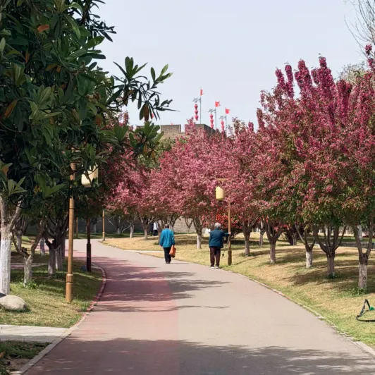 https://d2rzpmb54mcyw0.cloudfront.net/content/guides/0446ed07-e743-4fbf-bccd-29e869d02a9a-xian_city_wall2.webp