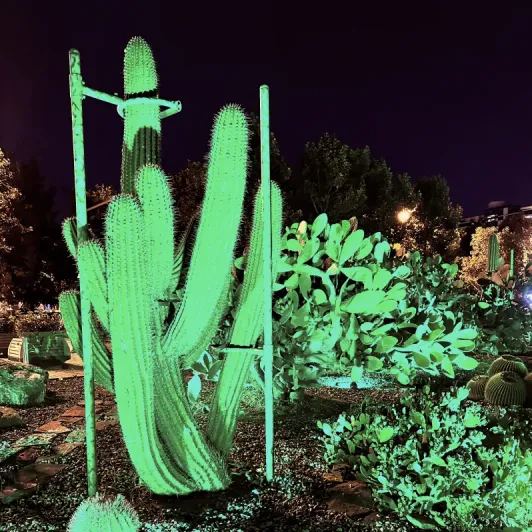 https://d2rzpmb54mcyw0.cloudfront.net/content/guides/baku/cactus-park3.webp