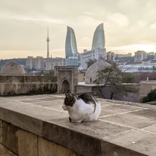 https://d2rzpmb54mcyw0.cloudfront.net/content/guides/baku/plamennie-bashni2.webp