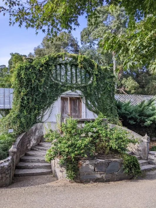 https://d2rzpmb54mcyw0.cloudfront.net/content/guides/batumi/botanical-garden10.webp