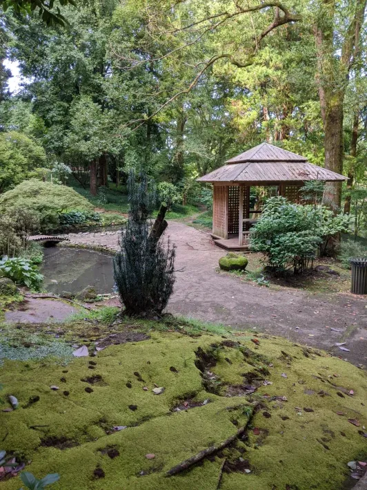 https://d2rzpmb54mcyw0.cloudfront.net/content/guides/batumi/botanical-garden11.webp