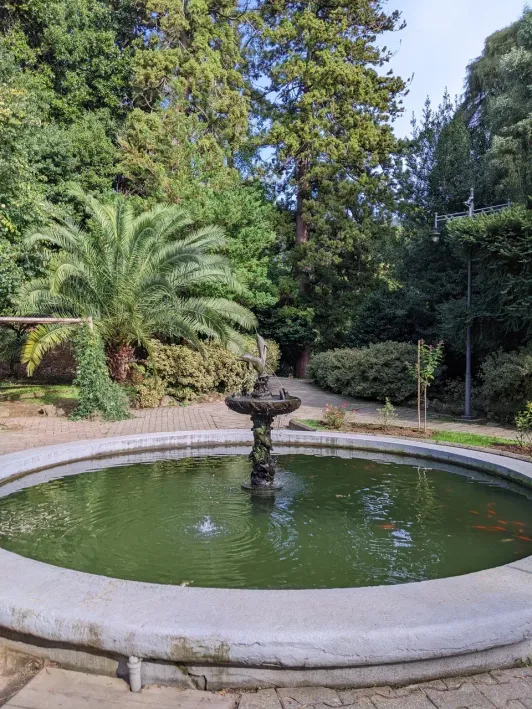 https://d2rzpmb54mcyw0.cloudfront.net/content/guides/batumi/botanical-garden3.webp