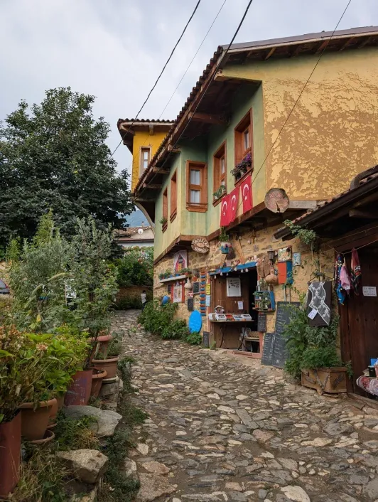 https://d2rzpmb54mcyw0.cloudfront.net/content/guides/bursa/cumalikizik-village3.webp