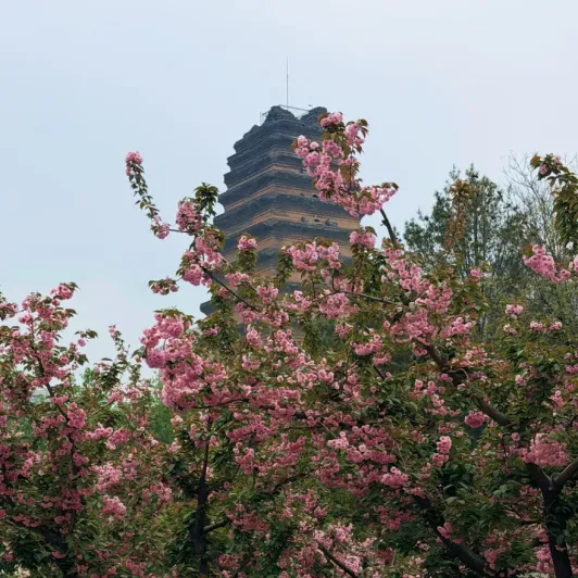https://d2rzpmb54mcyw0.cloudfront.net/content/guides/c864bbca-2aa6-4ffd-9130-78302d7636a2-small_wild_goose_pagoda2.webp