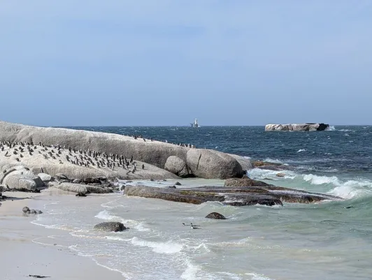 https://d2rzpmb54mcyw0.cloudfront.net/content/guides/cape-town/boulders-beach4.webp