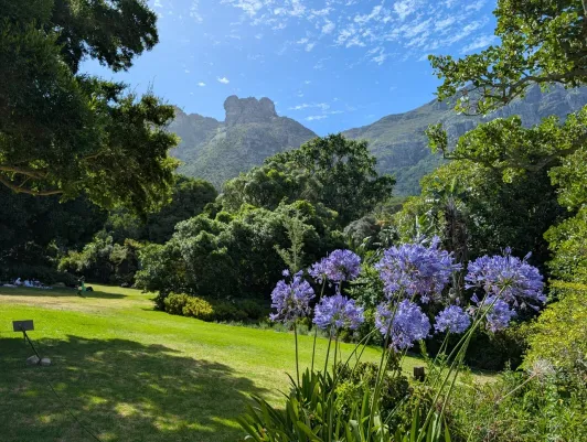 https://d2rzpmb54mcyw0.cloudfront.net/content/guides/cape-town/kirstenbosch2.webp
