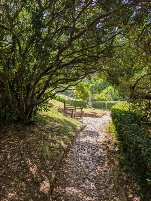 https://d2rzpmb54mcyw0.cloudfront.net/content/guides/cape-town/kirstenbosch3.webp