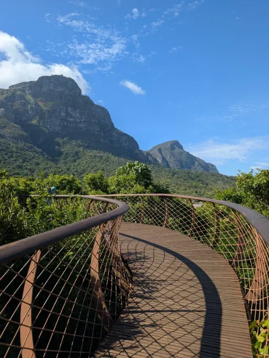 https://d2rzpmb54mcyw0.cloudfront.net/content/guides/cape-town/kirstenbosch4.webp