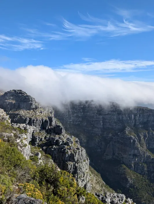 https://d2rzpmb54mcyw0.cloudfront.net/content/guides/cape-town/table-mountain5.webp