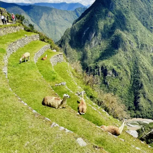 https://d2rzpmb54mcyw0.cloudfront.net/content/guides/cusco/machu-picchu3.webp