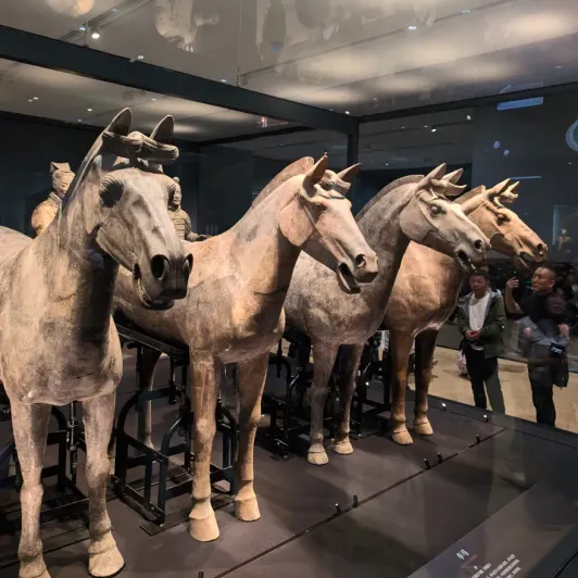 https://d2rzpmb54mcyw0.cloudfront.net/content/guides/d2456600-5f79-448c-b9ee-7f4eaa5d54ad-terracotta_army5.webp