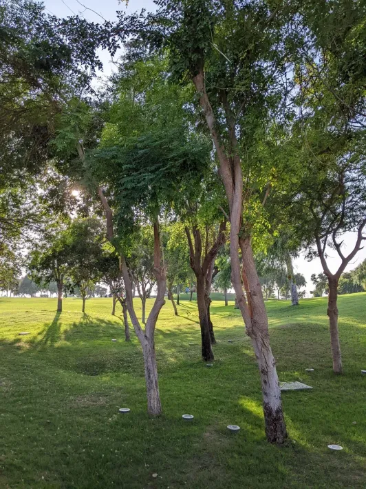 https://d2rzpmb54mcyw0.cloudfront.net/content/guides/doha/north-green-hill2.webp
