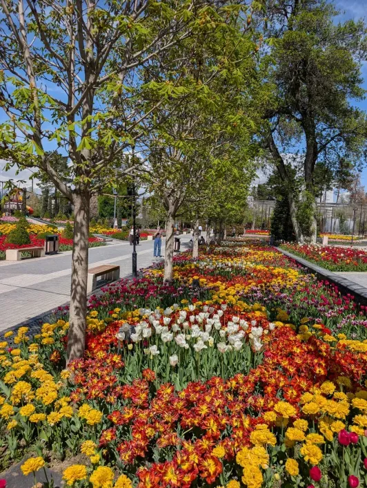 https://d2rzpmb54mcyw0.cloudfront.net/content/guides/dushanbe/ahmad-donish-park2.webp