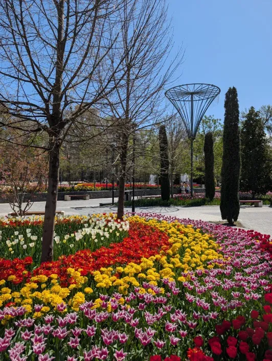 https://d2rzpmb54mcyw0.cloudfront.net/content/guides/dushanbe/ahmad-donish-park3.webp
