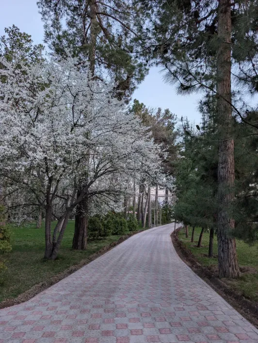 https://d2rzpmb54mcyw0.cloudfront.net/content/guides/dushanbe/park-ayni6.webp