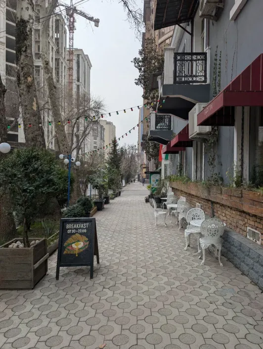 https://d2rzpmb54mcyw0.cloudfront.net/content/guides/dushanbe/tartin2.webp