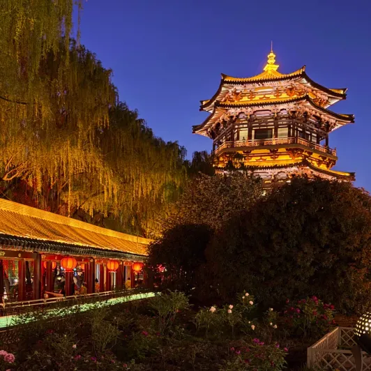 https://d2rzpmb54mcyw0.cloudfront.net/content/guides/e85da50d-f491-48b1-a187-30ad8266350a-tang_paradise5.webp
