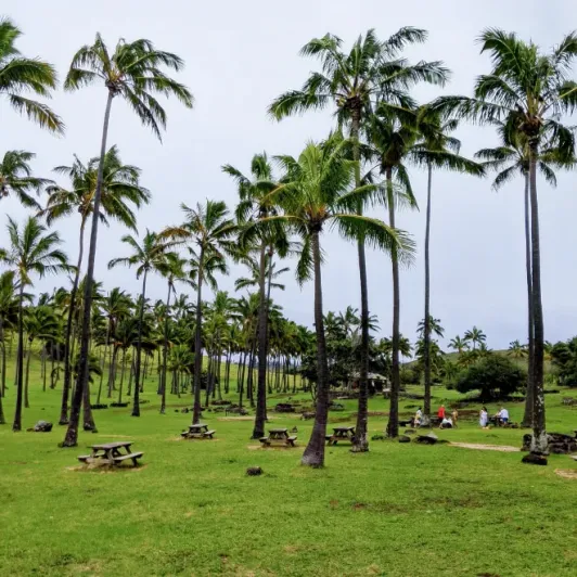 https://d2rzpmb54mcyw0.cloudfront.net/content/guides/eastern-island/beach-anakena2.webp