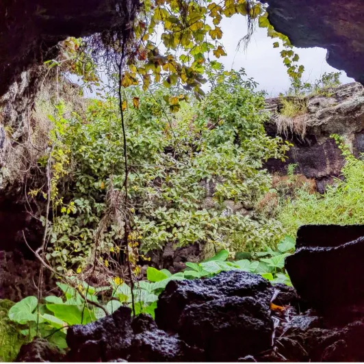 https://d2rzpmb54mcyw0.cloudfront.net/content/guides/eastern-island/caves2.webp
