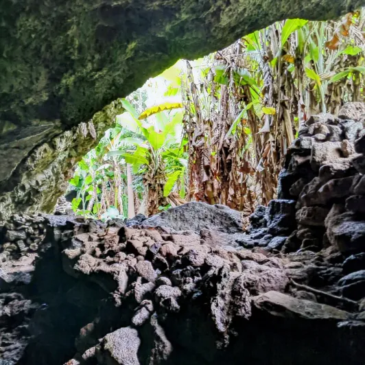 https://d2rzpmb54mcyw0.cloudfront.net/content/guides/eastern-island/caves3.webp