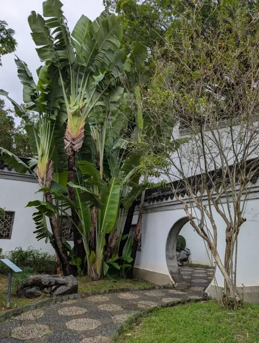 https://d2rzpmb54mcyw0.cloudfront.net/content/guides/hong-kong/kowloon-city-park4.webp