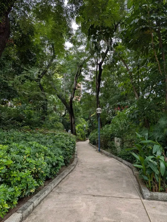 https://d2rzpmb54mcyw0.cloudfront.net/content/guides/hong-kong/kowloon-park2.webp