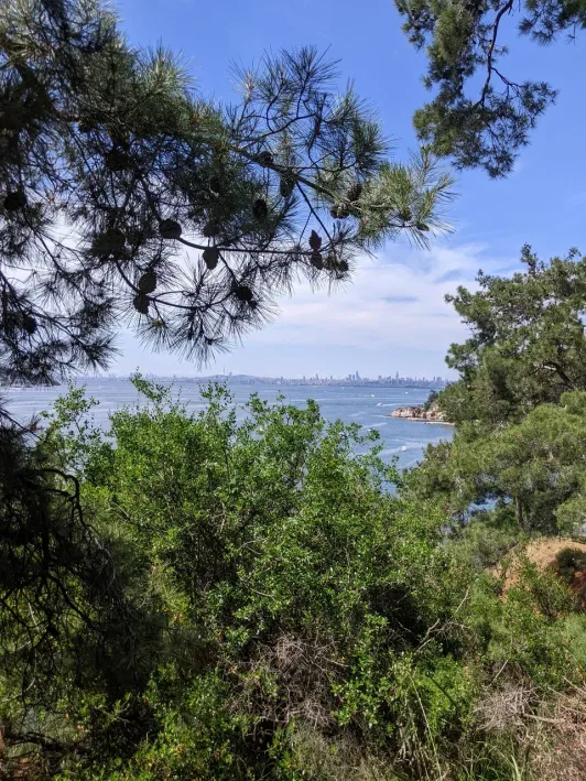 https://d2rzpmb54mcyw0.cloudfront.net/content/guides/istanbul/adalar7.webp