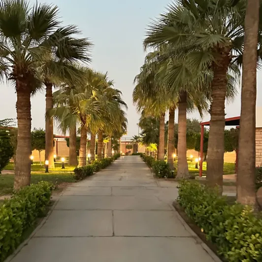 https://d2rzpmb54mcyw0.cloudfront.net/content/guides/jeddah/red-sea-resort2.webp