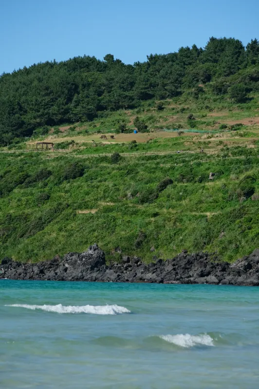 https://d2rzpmb54mcyw0.cloudfront.net/content/guides/jeju/hamdeok-beach6.webp