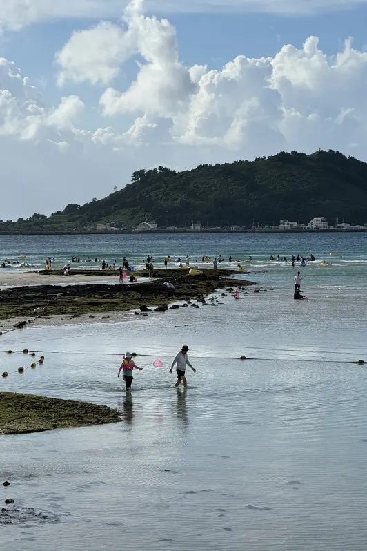 https://d2rzpmb54mcyw0.cloudfront.net/content/guides/jeju/hyeopjae-beach2.webp