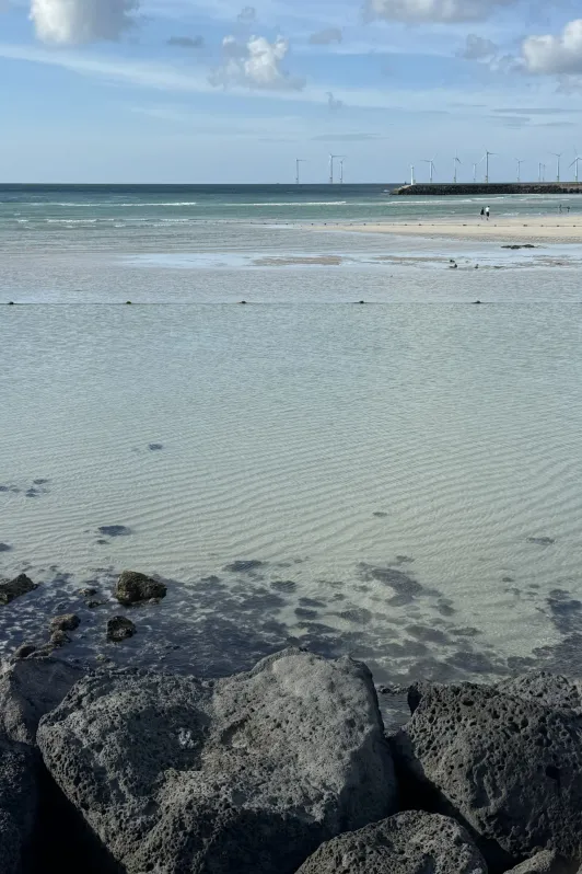 https://d2rzpmb54mcyw0.cloudfront.net/content/guides/jeju/hyeopjae-beach6.webp