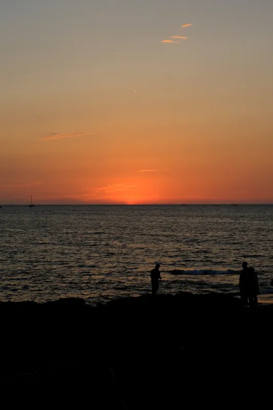 https://d2rzpmb54mcyw0.cloudfront.net/content/guides/jeju/ory-fishmarket2.webp