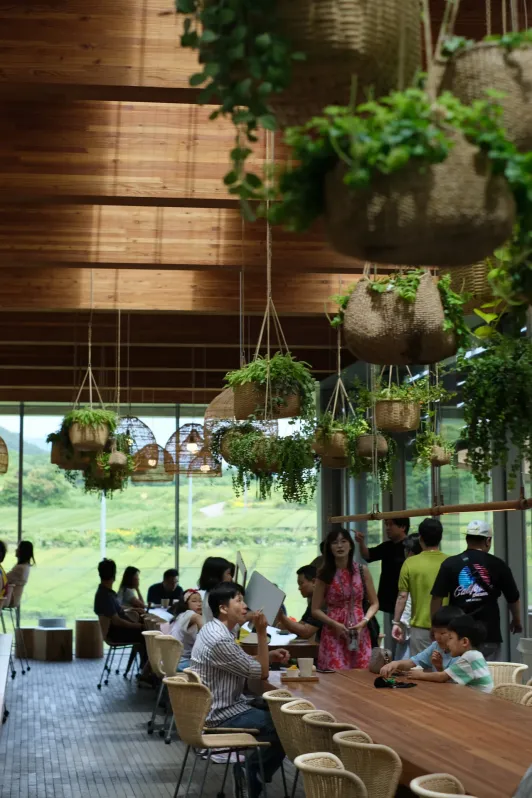 https://d2rzpmb54mcyw0.cloudfront.net/content/guides/jeju/osulloc-tea-museum3.webp