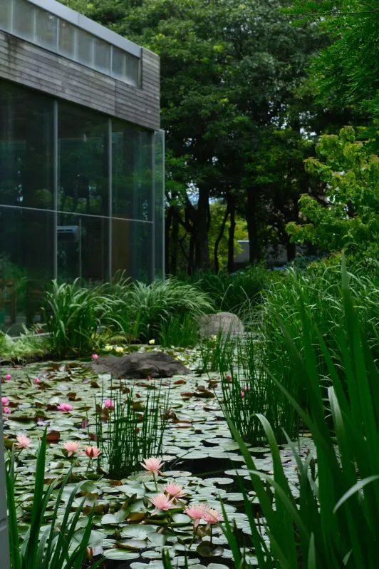 https://d2rzpmb54mcyw0.cloudfront.net/content/guides/jeju/osulloc-tea-museum4.webp