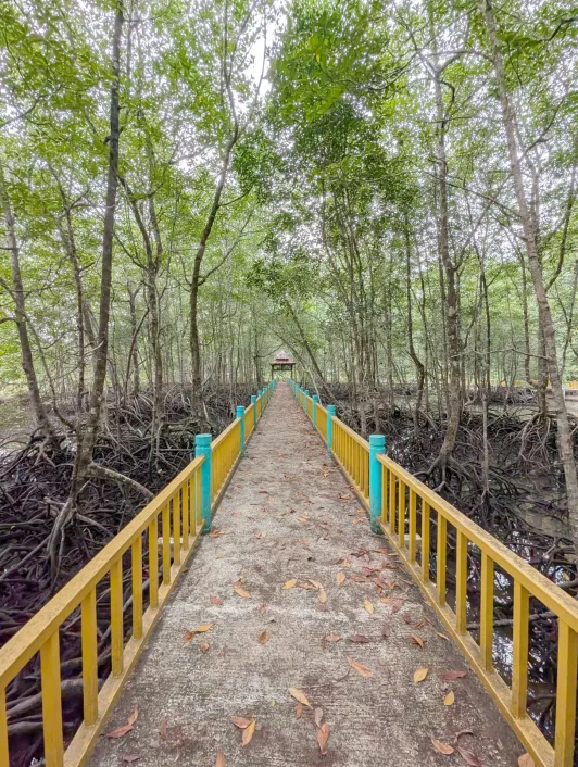 https://d2rzpmb54mcyw0.cloudfront.net/content/guides/langkawi/kilim-geoforest-park4.webp