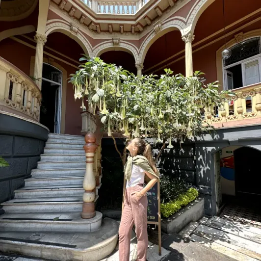 https://d2rzpmb54mcyw0.cloudfront.net/content/guides/lima/kokopelli-hostel2.webp