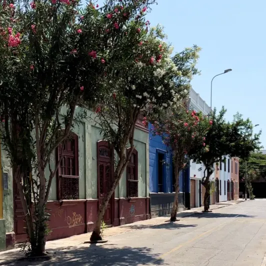 https://d2rzpmb54mcyw0.cloudfront.net/content/guides/lima/parroquia-san-francisco-de-asis2.webp