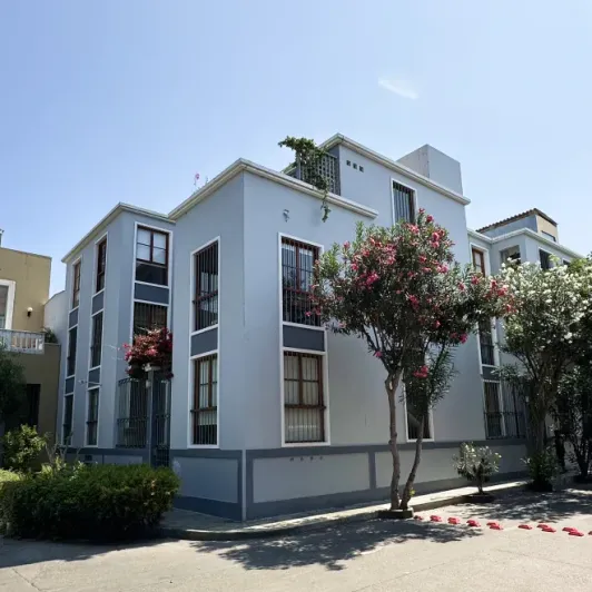 https://d2rzpmb54mcyw0.cloudfront.net/content/guides/lima/parroquia-san-francisco-de-asis4.webp