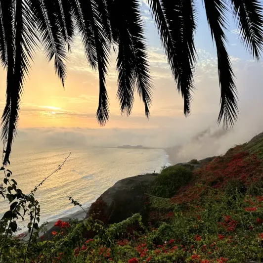 https://d2rzpmb54mcyw0.cloudfront.net/content/guides/lima/viewpoint2.webp