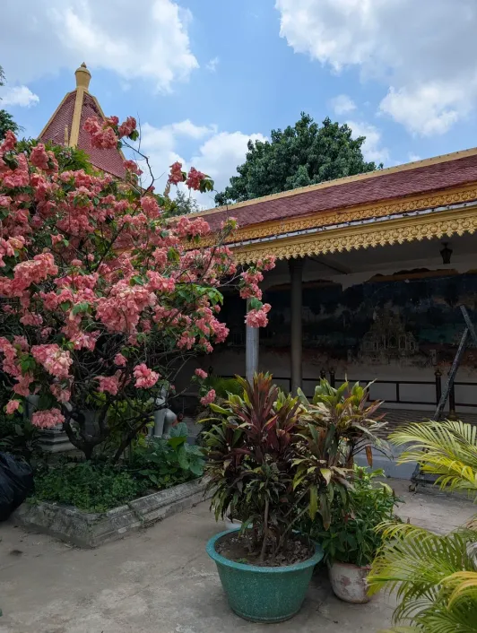 https://d2rzpmb54mcyw0.cloudfront.net/content/guides/phnom-penh/silver-pagoda5.webp