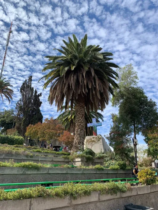 https://d2rzpmb54mcyw0.cloudfront.net/content/guides/santiago/san-cristobal5.webp