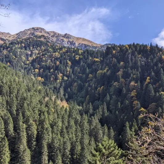 https://d2rzpmb54mcyw0.cloudfront.net/content/guides/trabzon/panagia-sumela6.webp