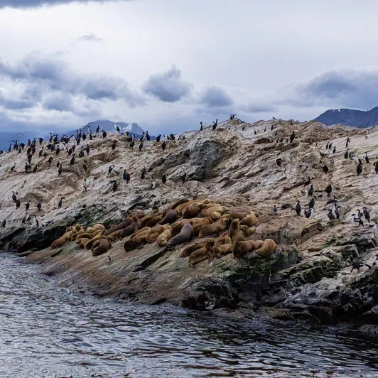 https://d2rzpmb54mcyw0.cloudfront.net/content/guides/ushuaia/faro-les-eclaireurs2.webp