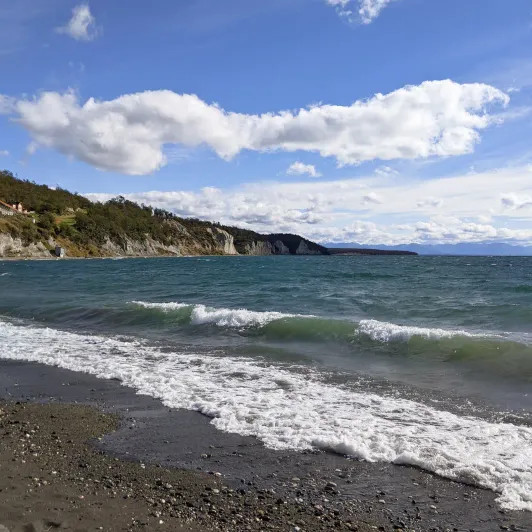 https://d2rzpmb54mcyw0.cloudfront.net/content/guides/ushuaia/pajaros3.webp